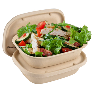 100% biodegradable sugarcane pulp food packaging lunch box