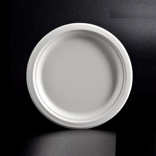 Round Pulp Plate