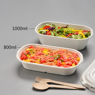  Pulp Bento Lunch Box (with 2compartment Optional)